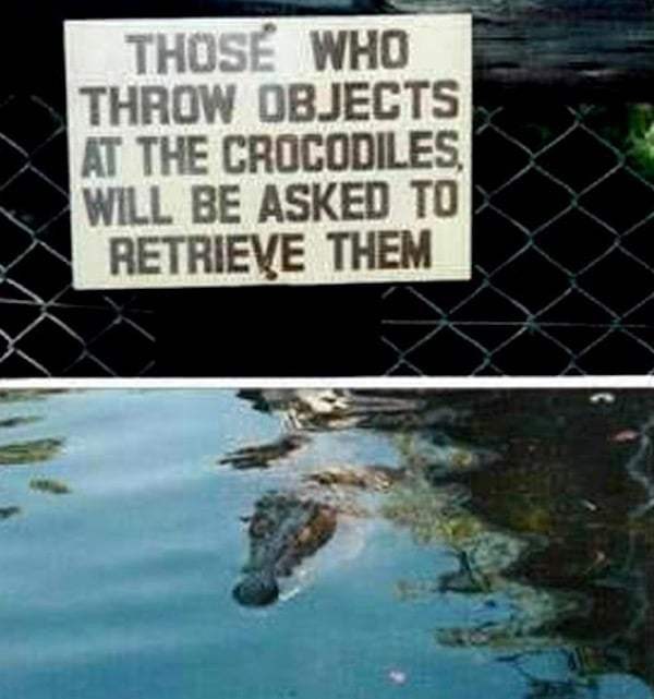 Crazy Zoo Signs (26 photos)