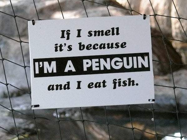 funny zoo signs 22