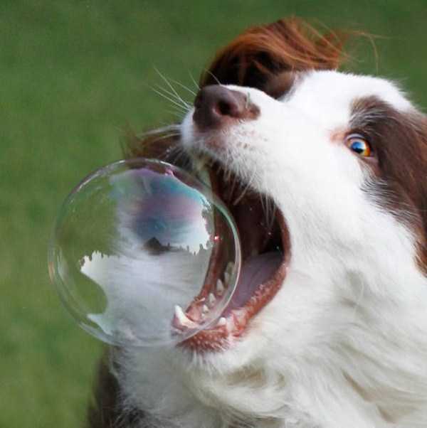 perfectly timed photos 57