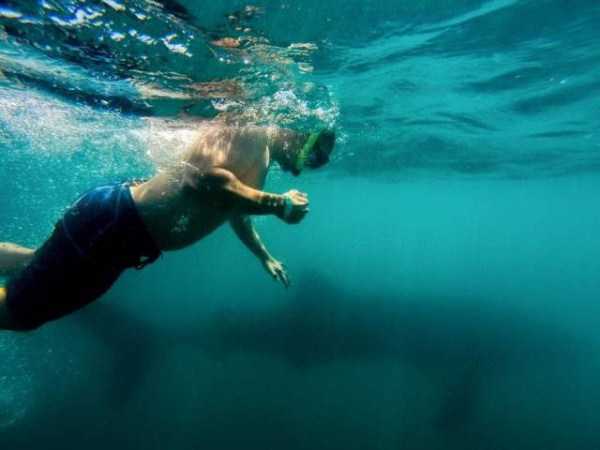 Sometimes Shit is Just Inevitable (62 photos)