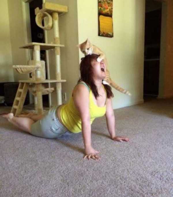 Sometimes Shit is Just Inevitable (62 photos)