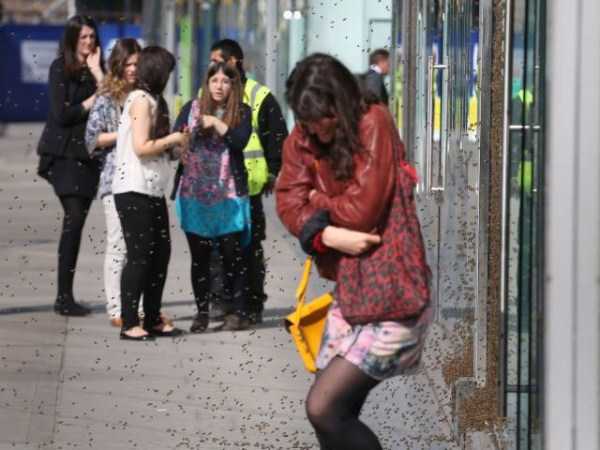 Sometimes Shit is Just Inevitable (62 photos)