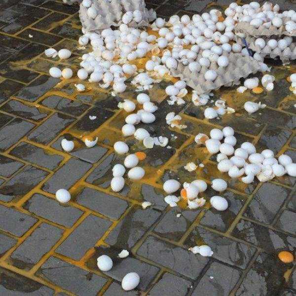 Sometimes Shit is Just Inevitable (62 photos)