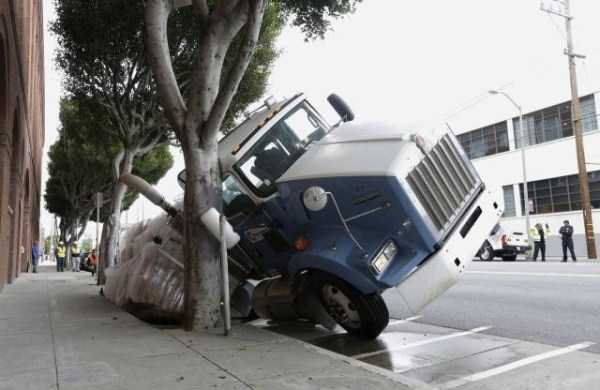 Sometimes Shit is Just Inevitable (62 photos)