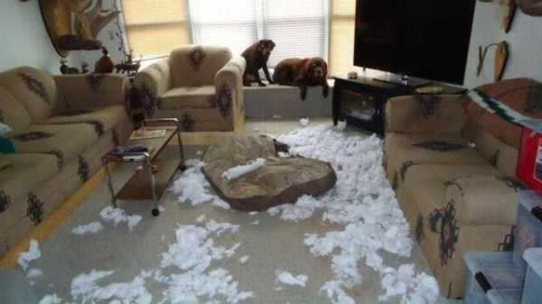 Sometimes Shit is Just Inevitable (62 photos)