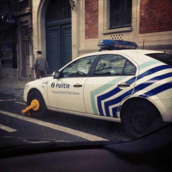 Sometimes Shit is Just Inevitable (62 photos)