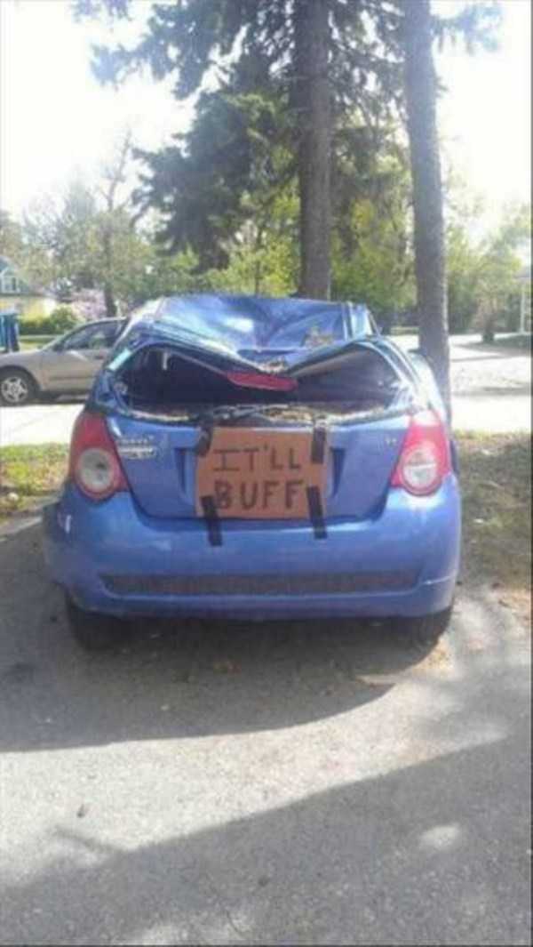 Sometimes Shit is Just Inevitable (62 photos)