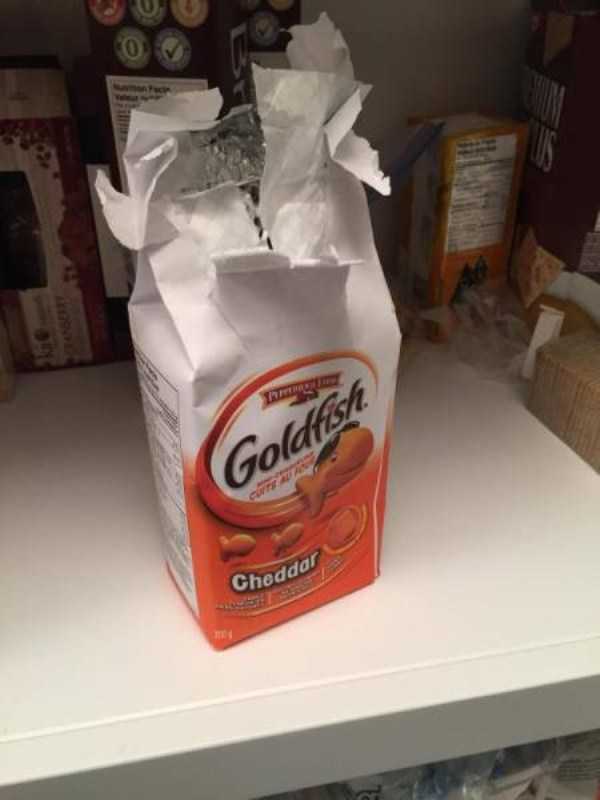 Sometimes Shit is Just Inevitable (62 photos)