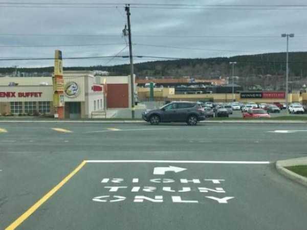 Sometimes Shit is Just Inevitable (62 photos)