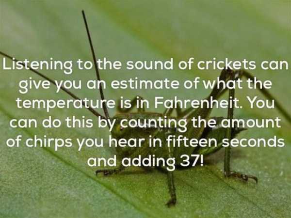 weather facts 5