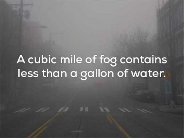 Mind Blowing Facts About Weather (25 photos)