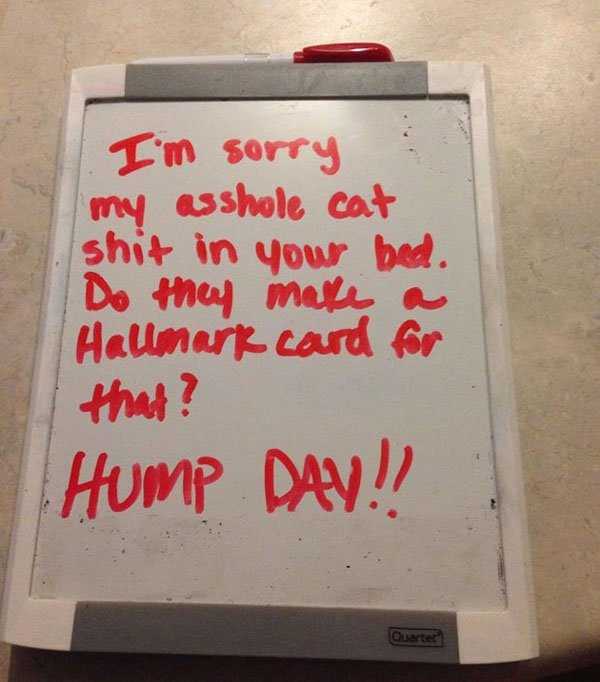 19 Hilarious Apology Notes To Make You Laugh (19 photos)
