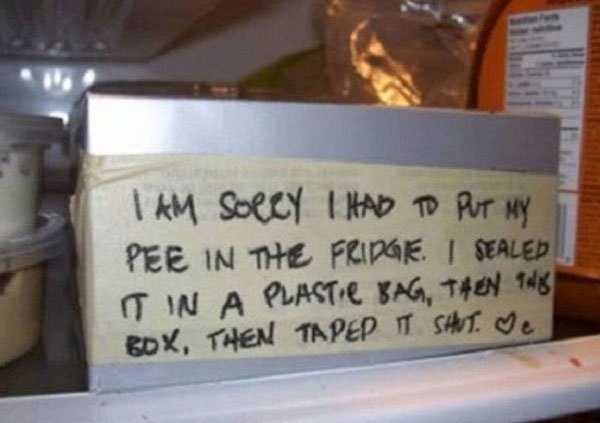 funny apology letters 16