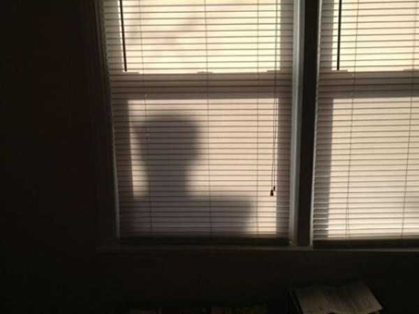 71 Funny Shadow Pics (71 photos)