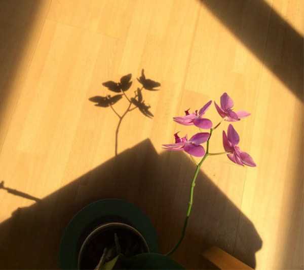 71 Funny Shadow Pics (71 photos)