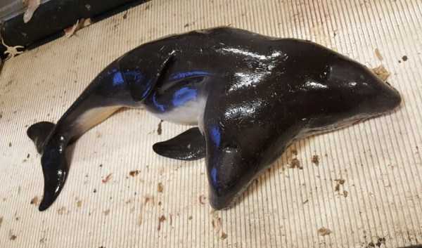 60 More WTF Photos, Because Why Not!?