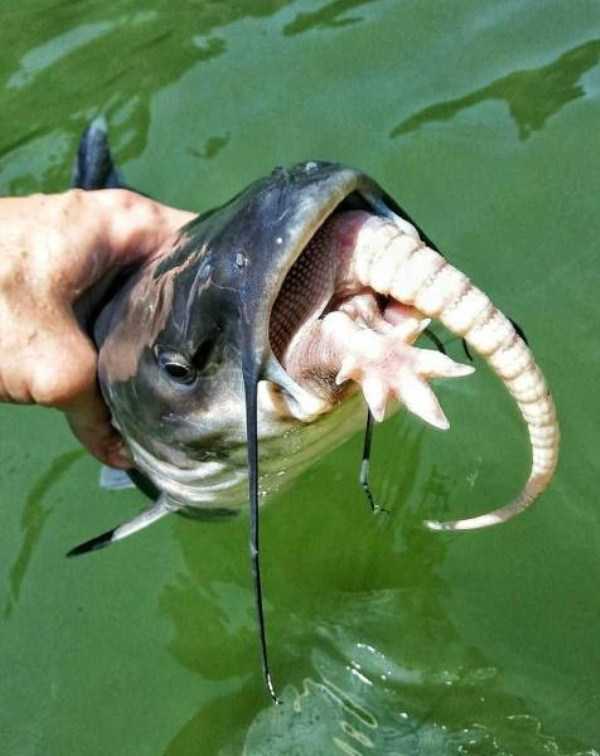 60 More WTF Photos, Because Why Not!?