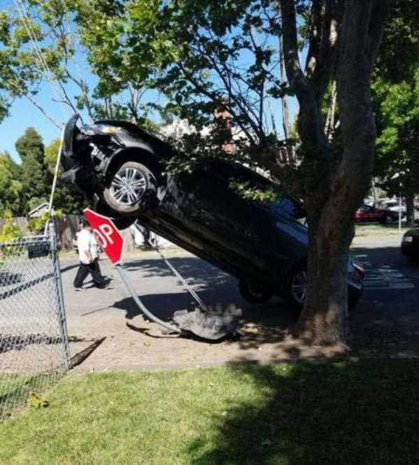 60 More WTF Photos, Because Why Not!?