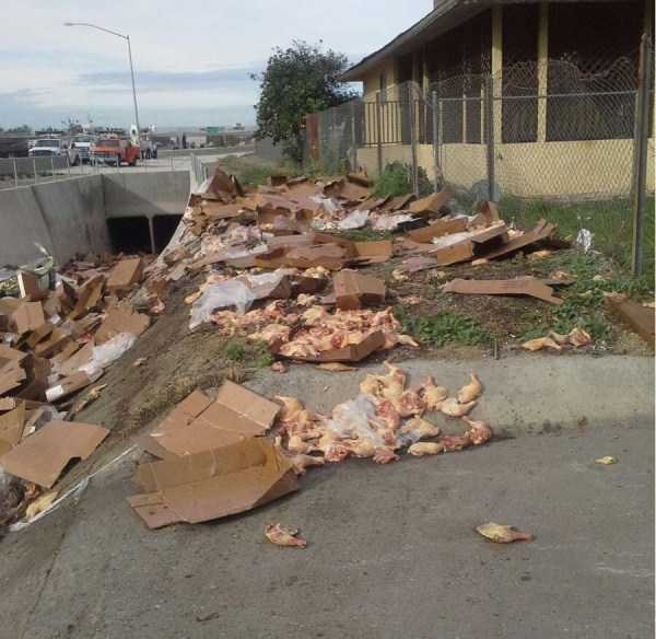 60 More WTF Photos, Because Why Not!?