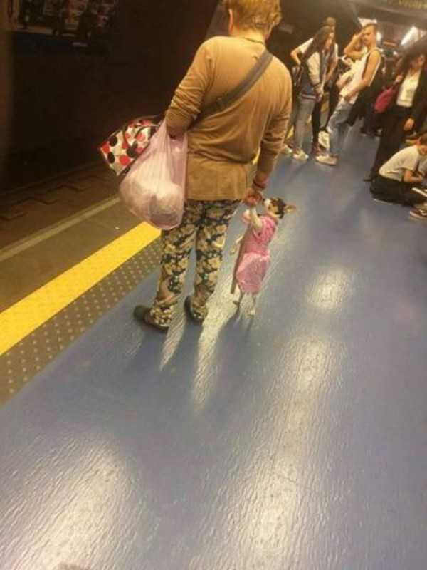 60 More WTF Photos, Because Why Not!?