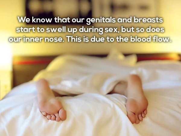25 NSFW ish Facts That Will Tickle Your Imagination (25 photos)