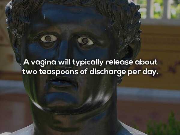 25 NSFW ish Facts That Will Tickle Your Imagination (25 photos)