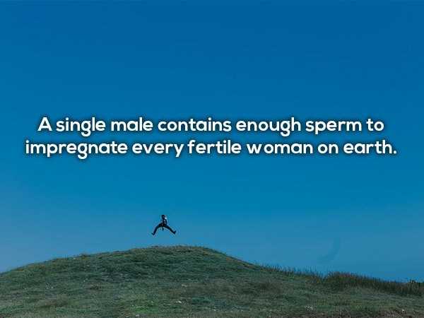 25 NSFW ish Facts That Will Tickle Your Imagination (25 photos)