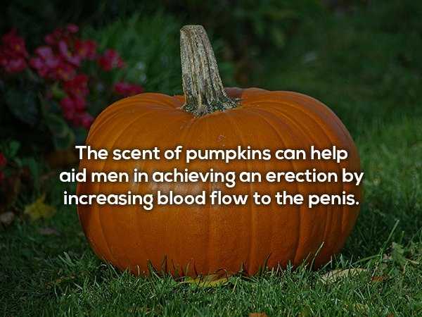 25 NSFW ish Facts That Will Tickle Your Imagination (25 photos)