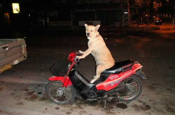 49 More WTF Photos, Because Why Not!?