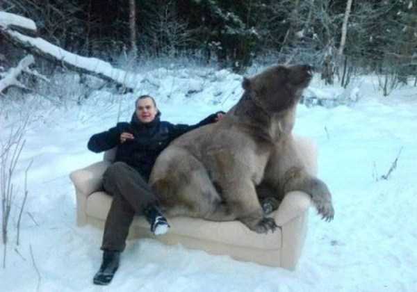 37 WTF Photos from the Planet Russia