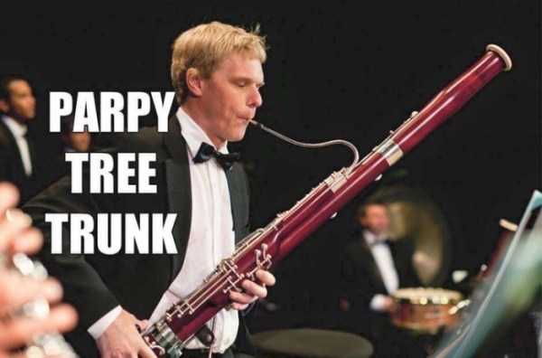 Funny Alternative Names For Instruments (16 photos)