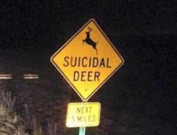 funny crazy signs 34 These Crazy Signs Are Far From Ordinary (35 photos)