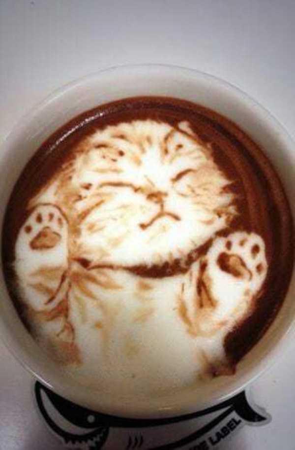 Baristas With Hidden Artistic Skills (26 photos)