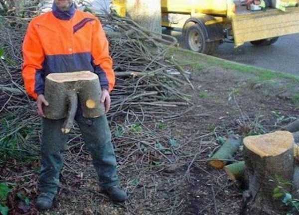 23 Funny Examples of Unintentional Vulgarity (23 photos)