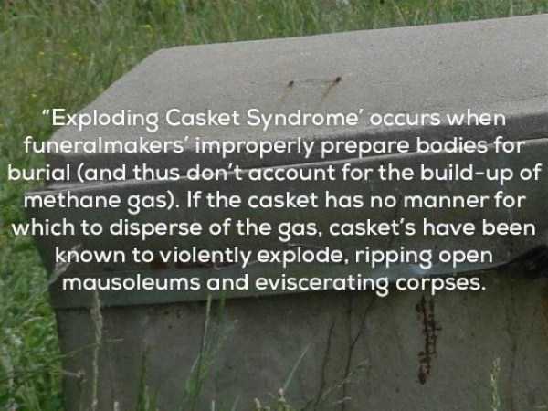 24 Disturbing Facts That Will Ruin Your Mood (24 photos)