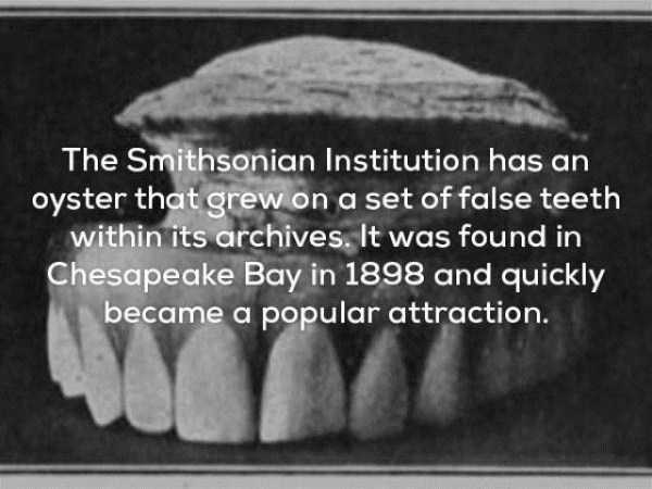 24 Disturbing Facts That Will Ruin Your Mood (24 photos)