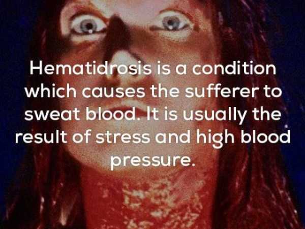 24 Disturbing Facts That Will Ruin Your Mood (24 photos)