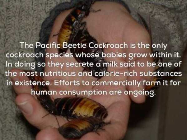 24 Disturbing Facts That Will Ruin Your Mood (24 photos)