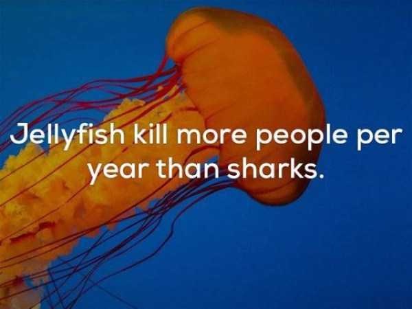 24 Disturbing Facts That Will Ruin Your Mood (24 photos)