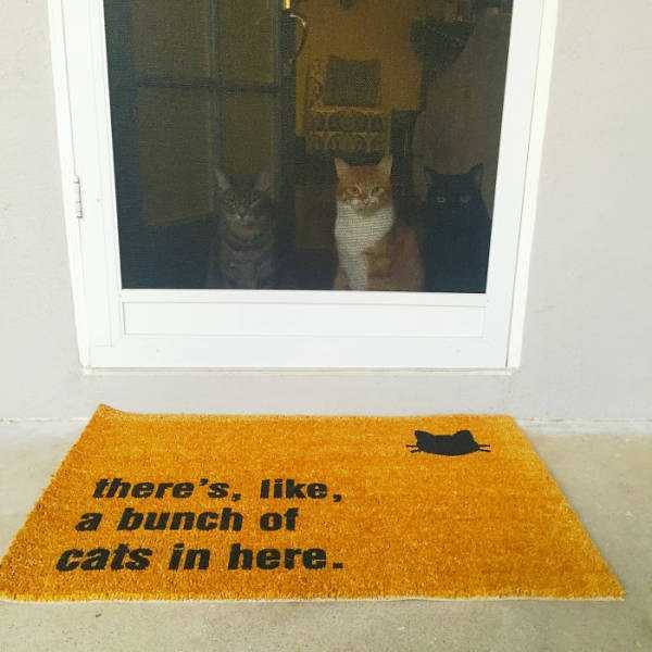 47 Ultimately Creative Doormats (47 photos)