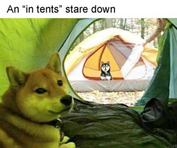funny camping fails 33