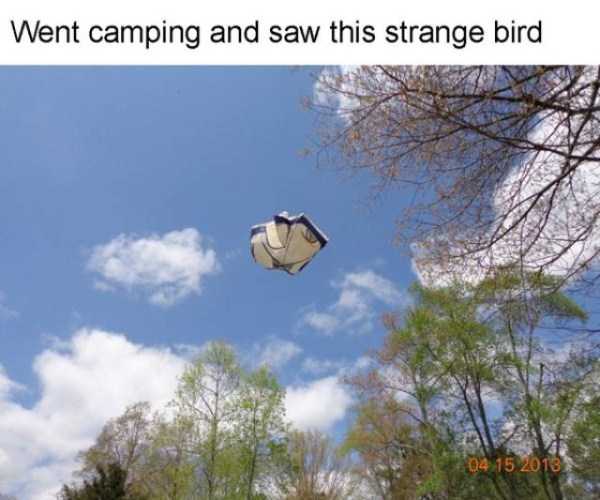 funny camping fails 4