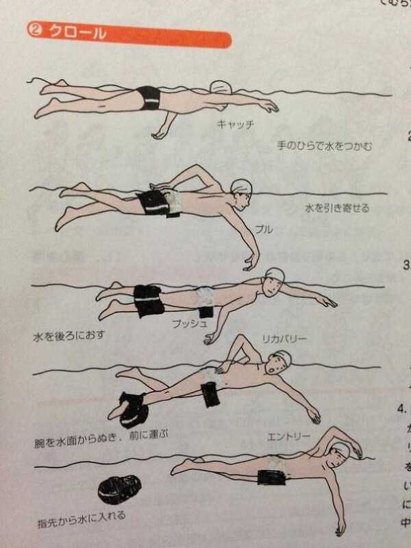 funny textbook drawings 10 56 Funny Textbook Drawings That Are Pure Gold (56 photos)