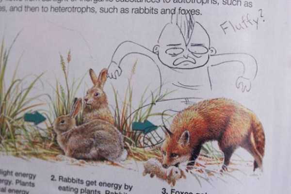 funny textbook drawings 33 56 Funny Textbook Drawings That Are Pure Gold (56 photos)