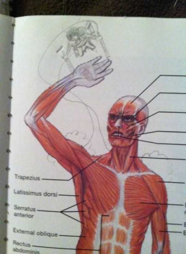 funny textbook drawings 6 56 Funny Textbook Drawings That Are Pure Gold (56 photos)