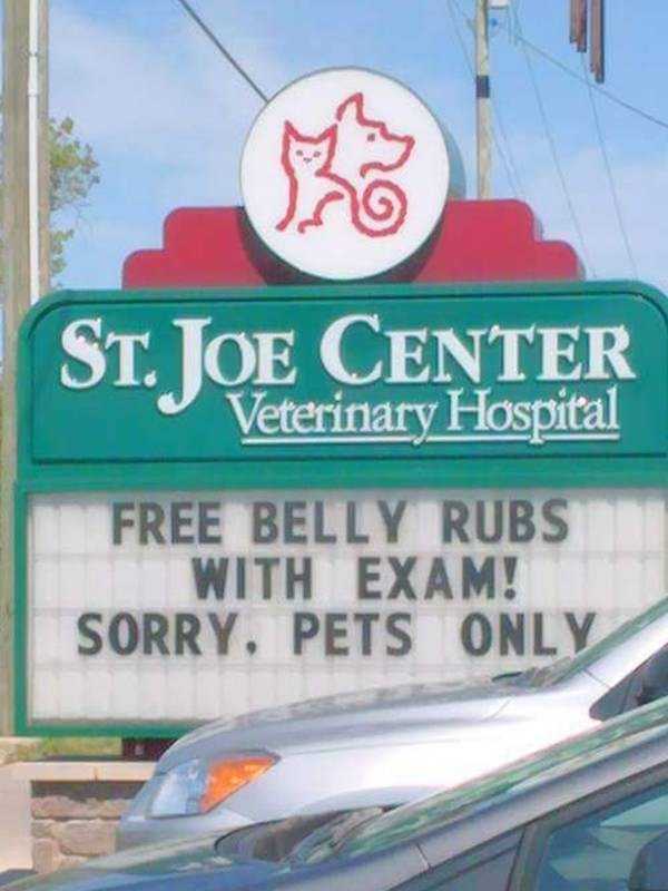 funny vet signs 10