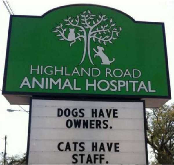 funny vet signs 14
