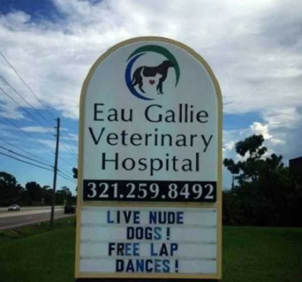 funny vet signs 16
