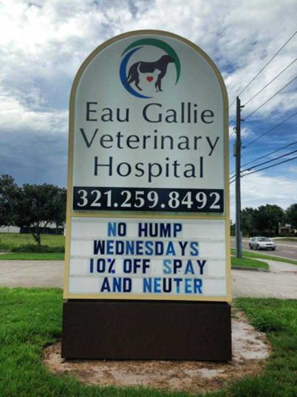 funny vet signs 20