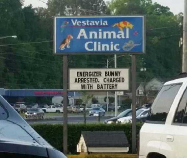 funny vet signs 6